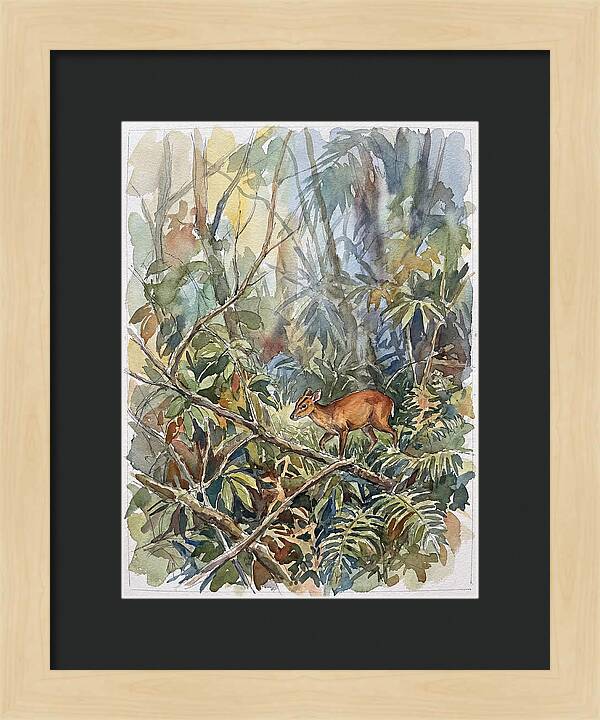 Muntjac Hidden In Greenery