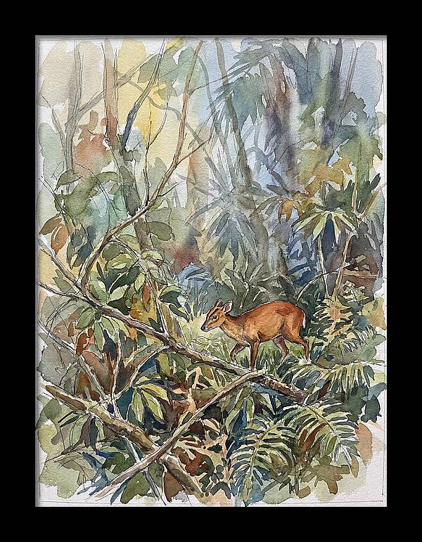 Muntjac Hidden In Greenery