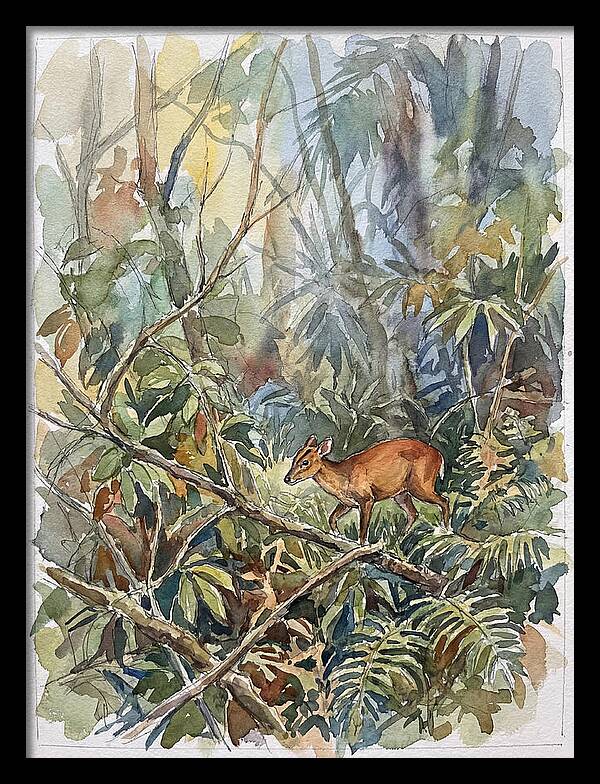 Muntjac Hidden In Greenery