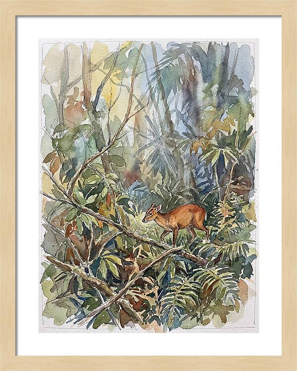 Muntjac Hidden In Greenery