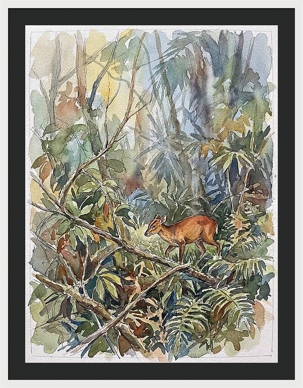 Muntjac Hidden In Greenery