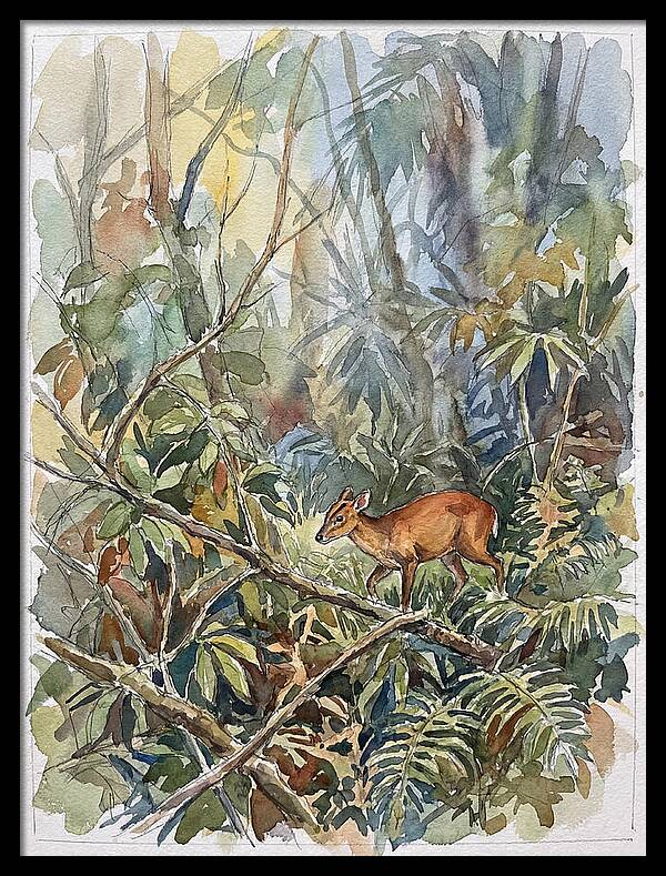 Muntjac Hidden In Greenery