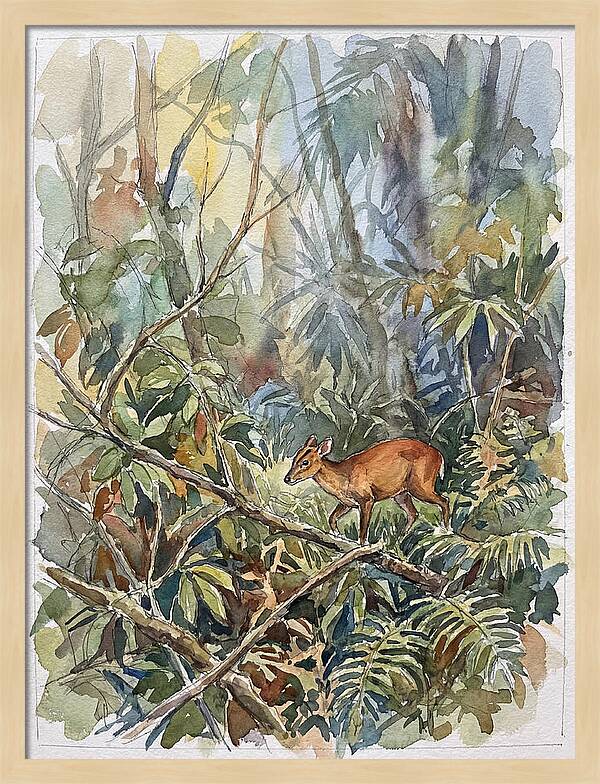 Muntjac Hidden In Greenery