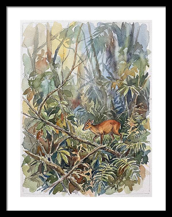 Muntjac Hidden In Greenery