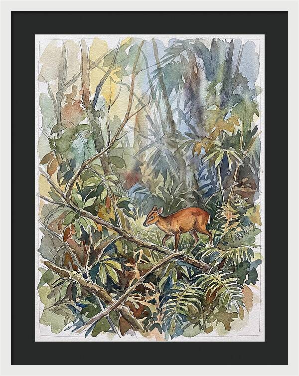 Muntjac Hidden In Greenery