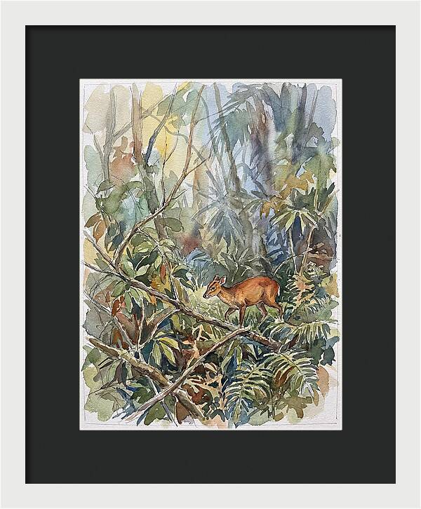 Muntjac Hidden In Greenery