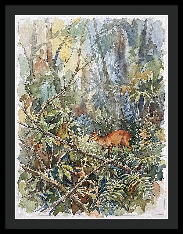 Muntjac Hidden In Greenery