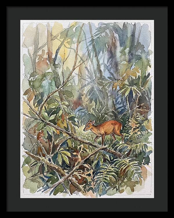 Muntjac Hidden In Greenery