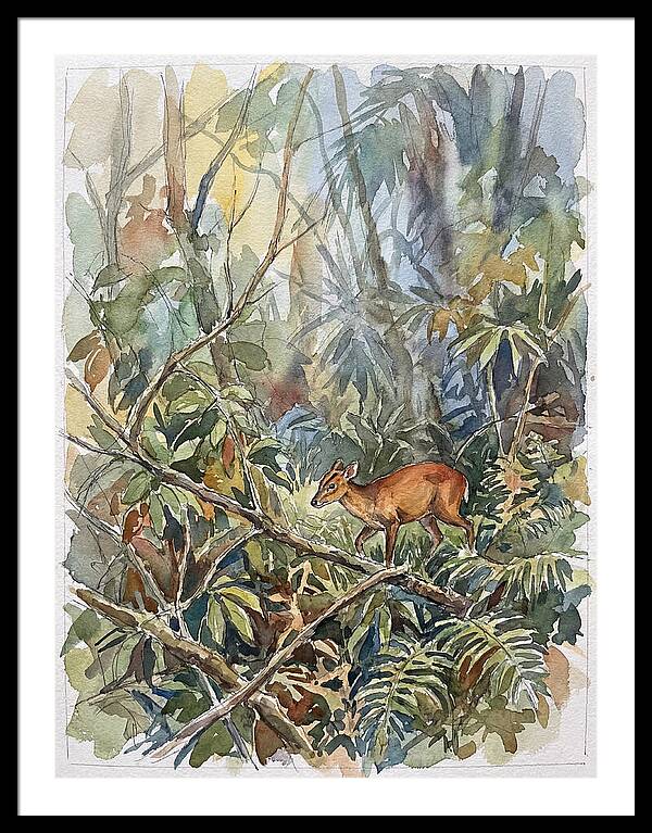 Muntjac Hidden In Greenery