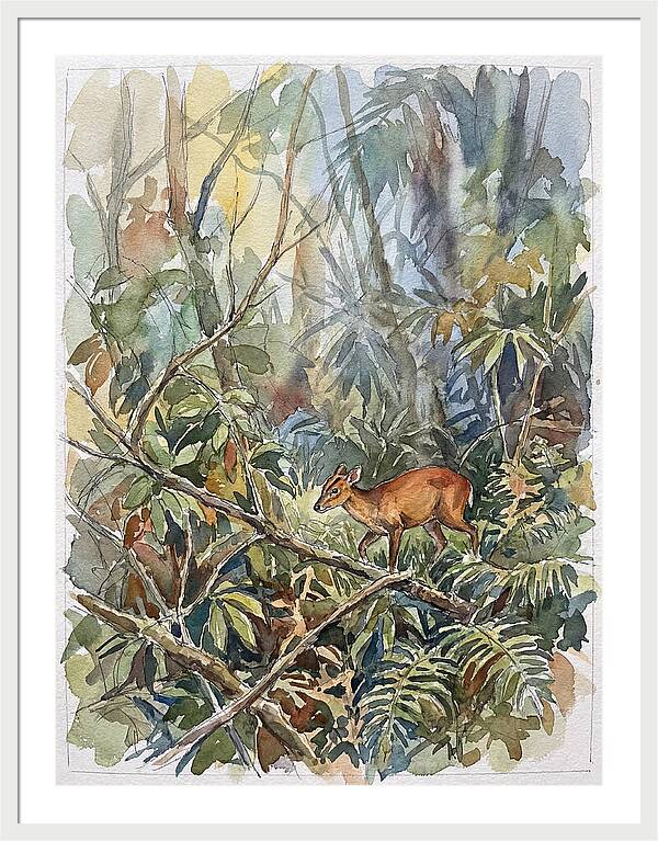 Muntjac Hidden In Greenery