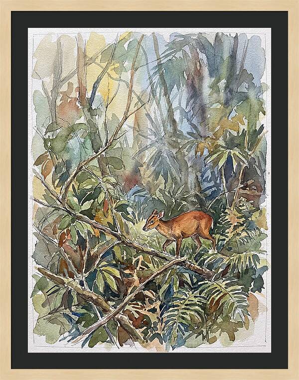 Muntjac Hidden In Greenery