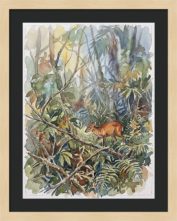 Muntjac Hidden In Greenery