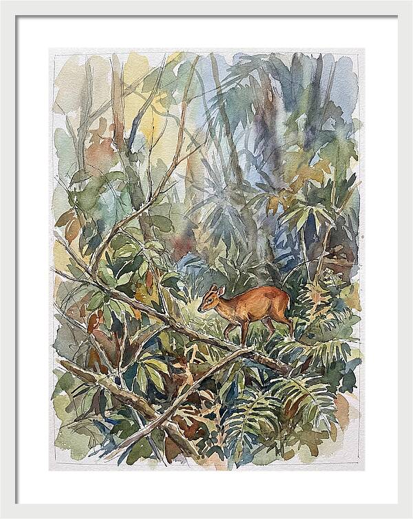 Muntjac Hidden In Greenery