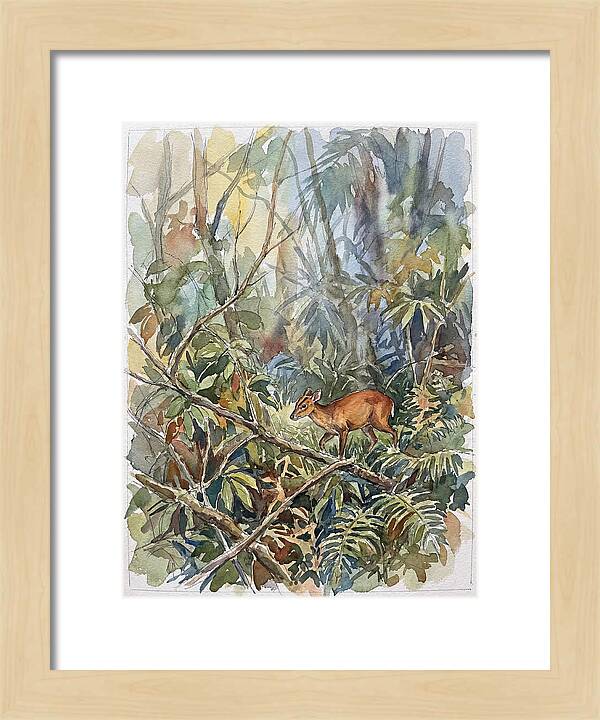 Muntjac Hidden In Greenery