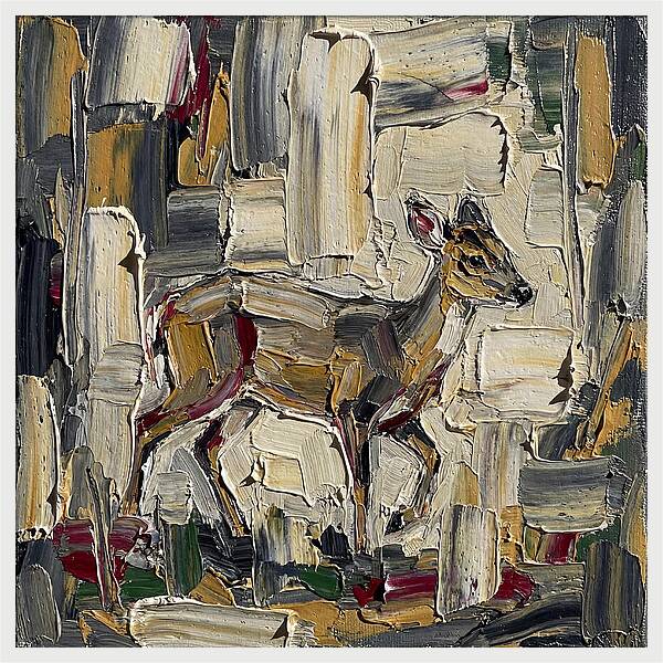 Muntjac In Abstract Palette