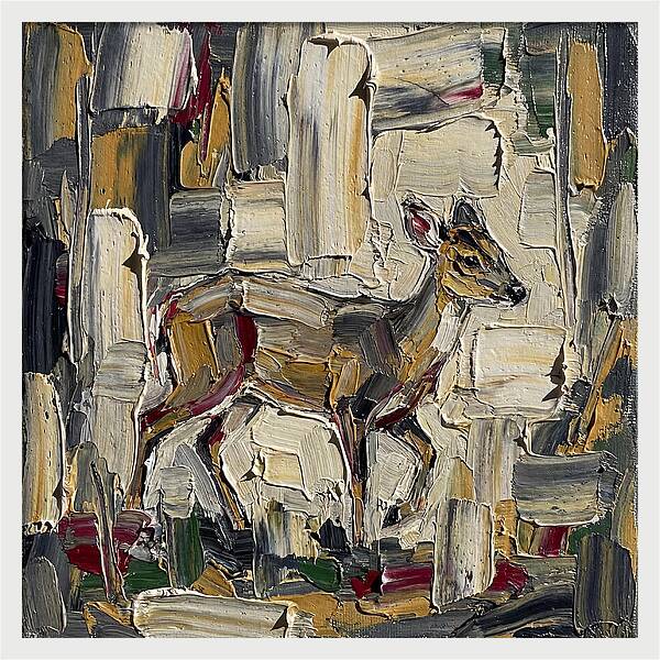 Muntjac In Abstract Palette