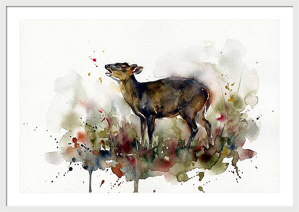 Muntjac In Watercolor Splendor