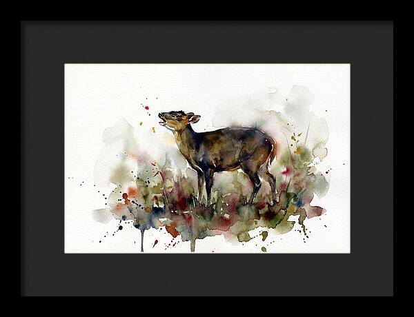 Muntjac In Watercolor Splendor