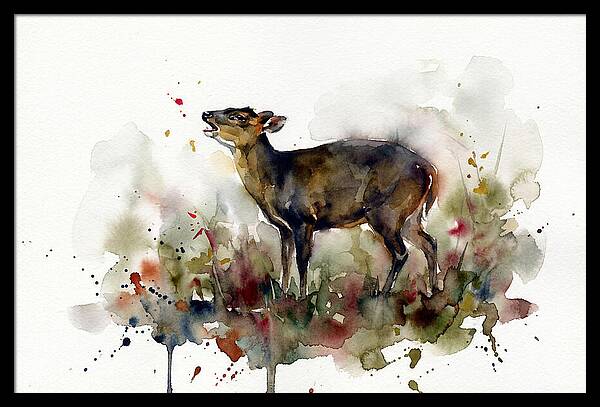 Muntjac In Watercolor Splendor