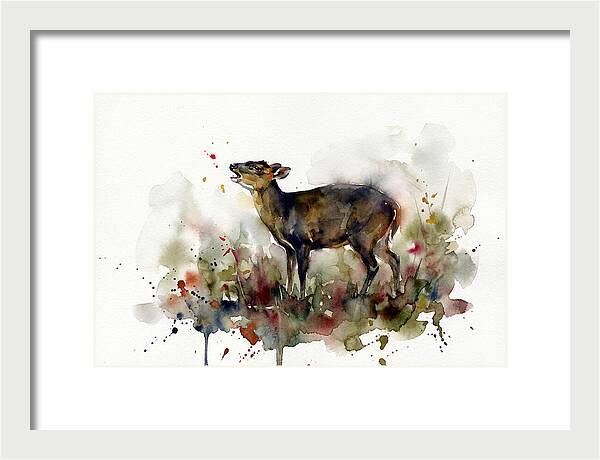 Muntjac In Watercolor Splendor