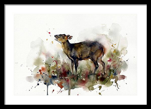 Muntjac In Watercolor Splendor