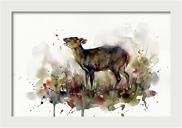 Muntjac In Watercolor Splendor