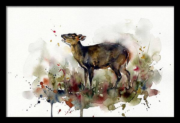 Muntjac In Watercolor Splendor