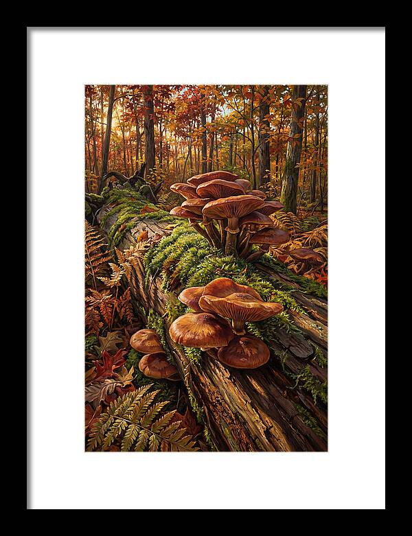 Mushrooms Among Autumn Leaves