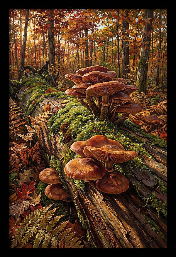 Mushrooms Among Autumn Leaves