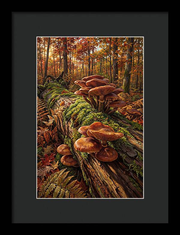 Mushrooms Among Autumn Leaves