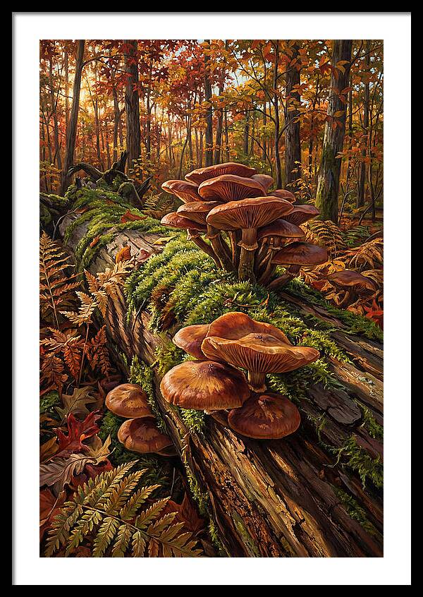 Mushrooms Among Autumn Leaves