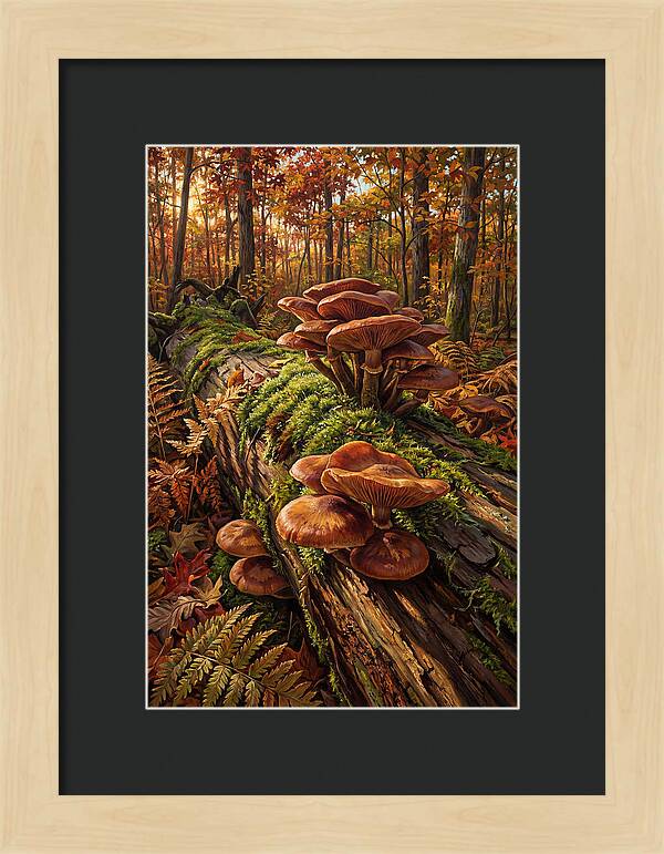 Mushrooms Among Autumn Leaves
