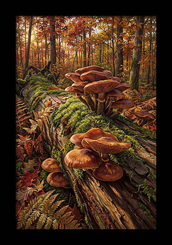 Mushrooms Among Autumn Leaves