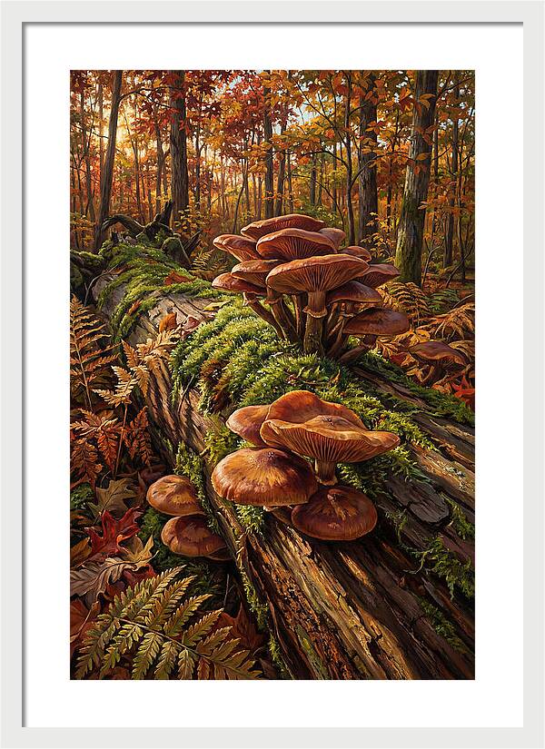 Mushrooms Among Autumn Leaves