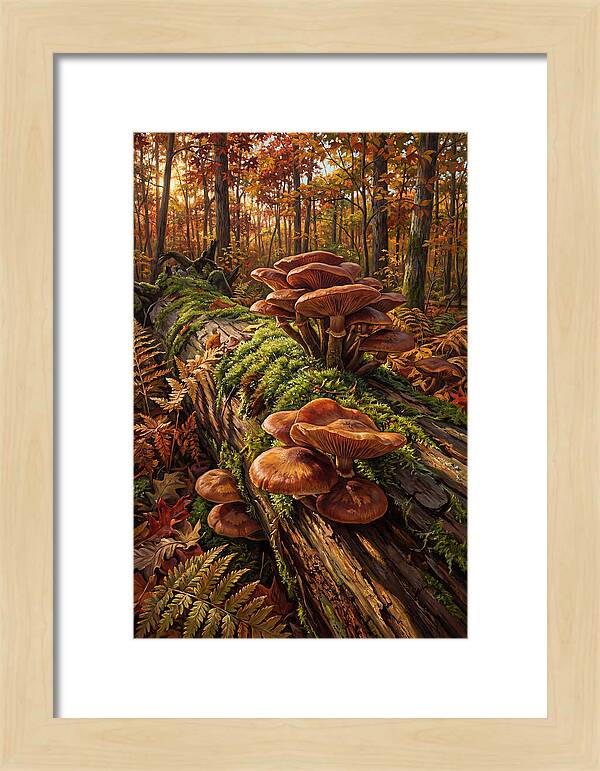 Mushrooms Among Autumn Leaves