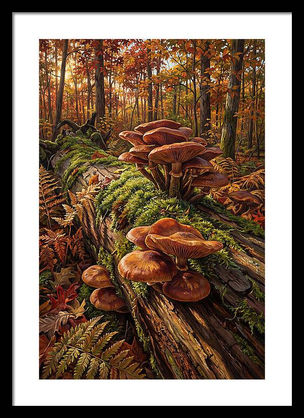 Mushrooms Among Autumn Leaves