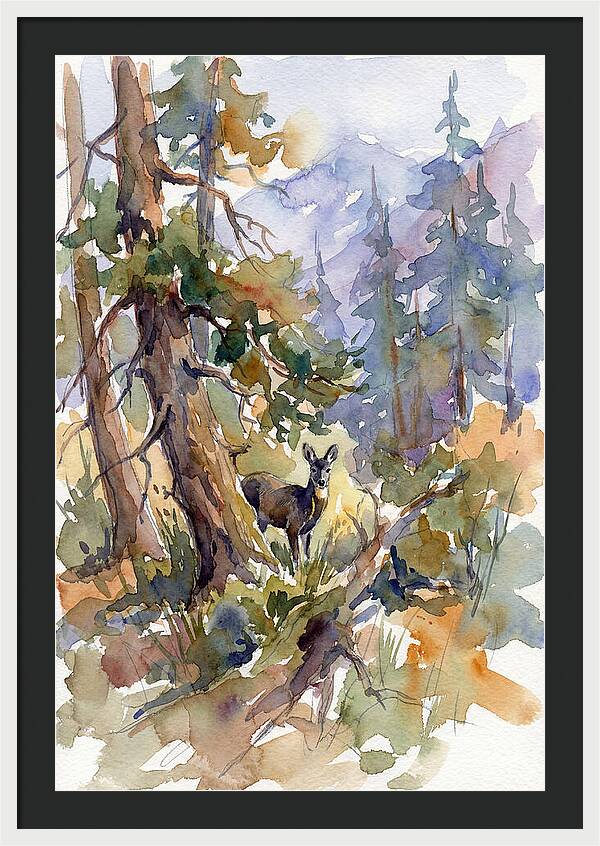 Musk Deer Among The Pines