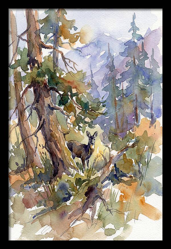 Musk Deer Among The Pines