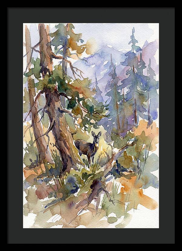 Musk Deer Among The Pines