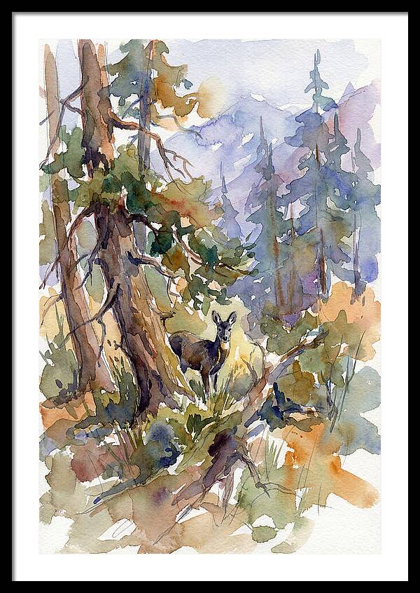 Musk Deer Among The Pines