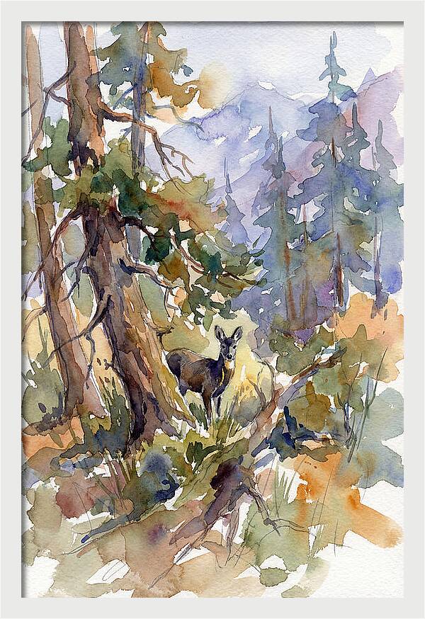 Musk Deer Among The Pines