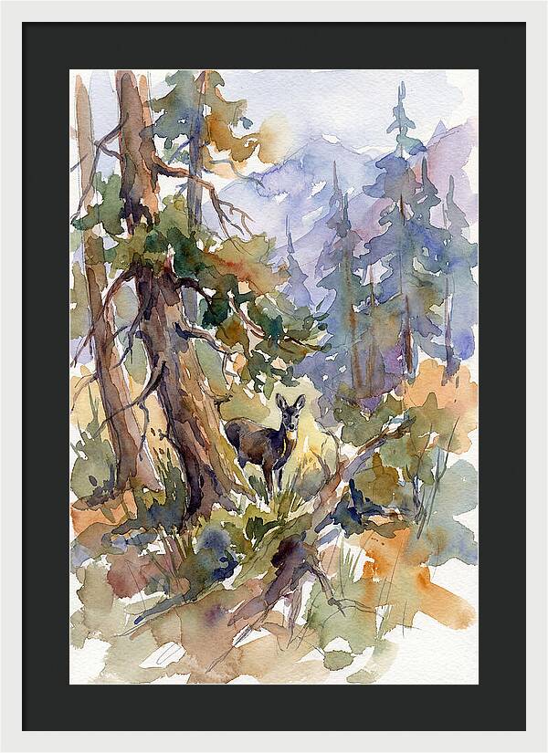 Musk Deer Among The Pines