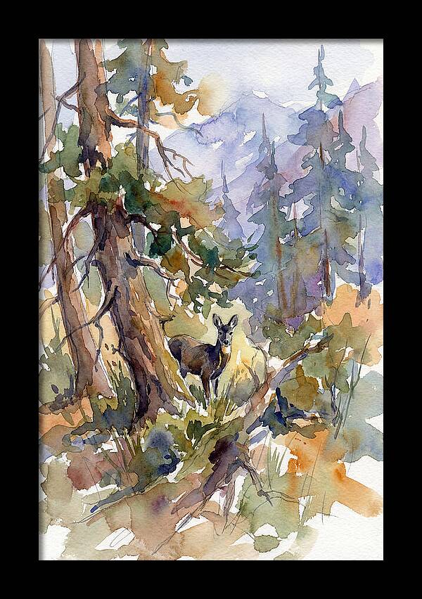 Musk Deer Among The Pines