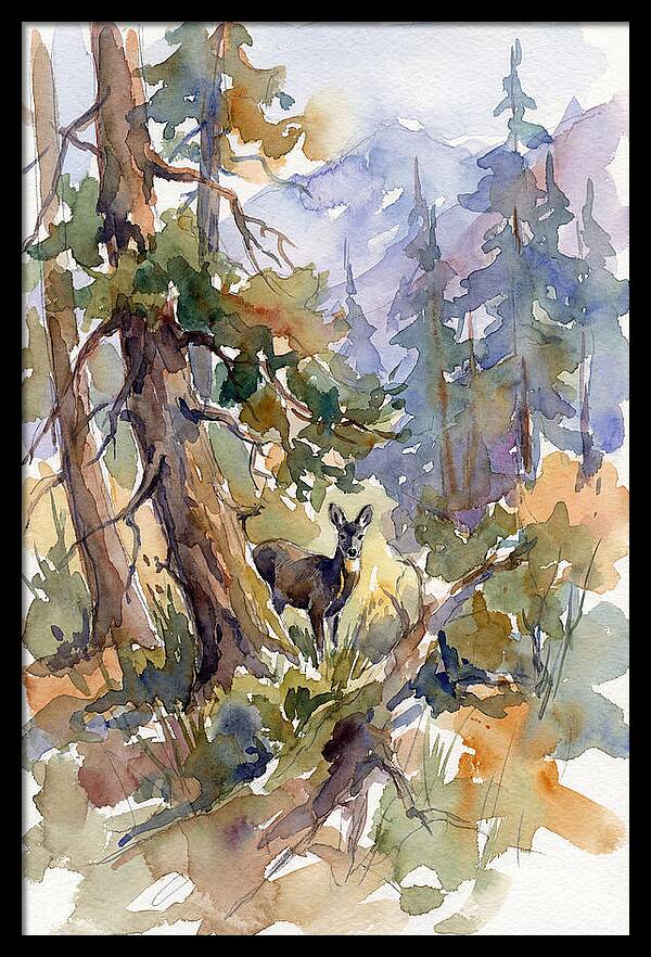 Musk Deer Among The Pines