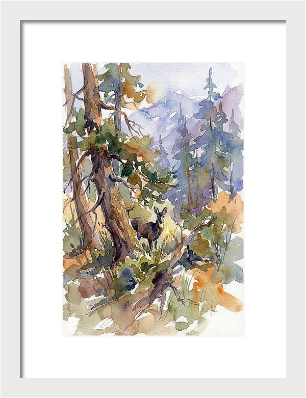 Musk Deer Among The Pines