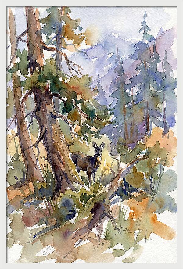 Musk Deer Among The Pines