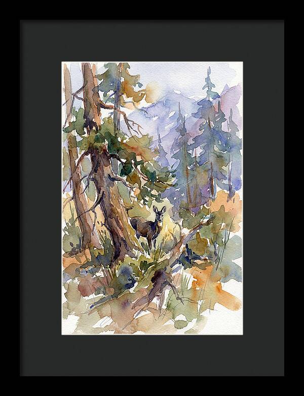 Musk Deer Among The Pines