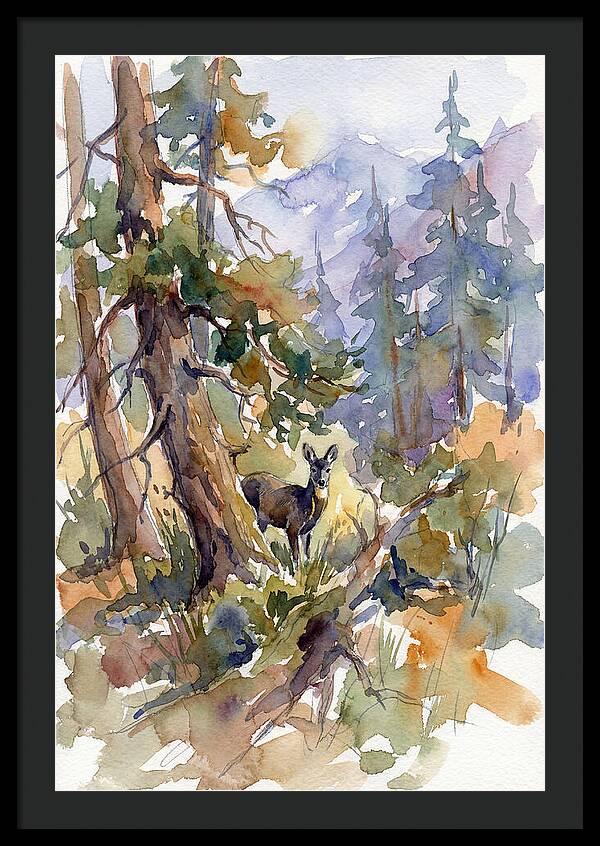 Musk Deer Among The Pines