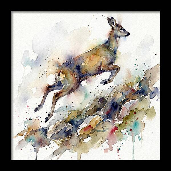 Musk Deer In Motion