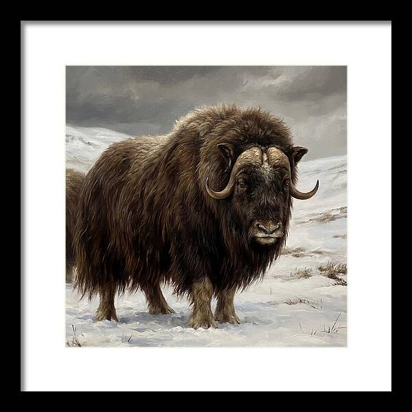 Musk Ox Amidst Snowy Terrain